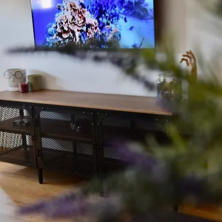 Petica Apartment Zlatibor